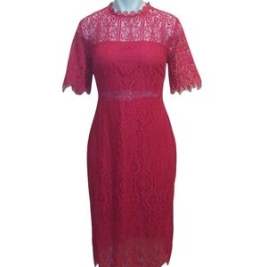 Francesca's Collection Lace Dress